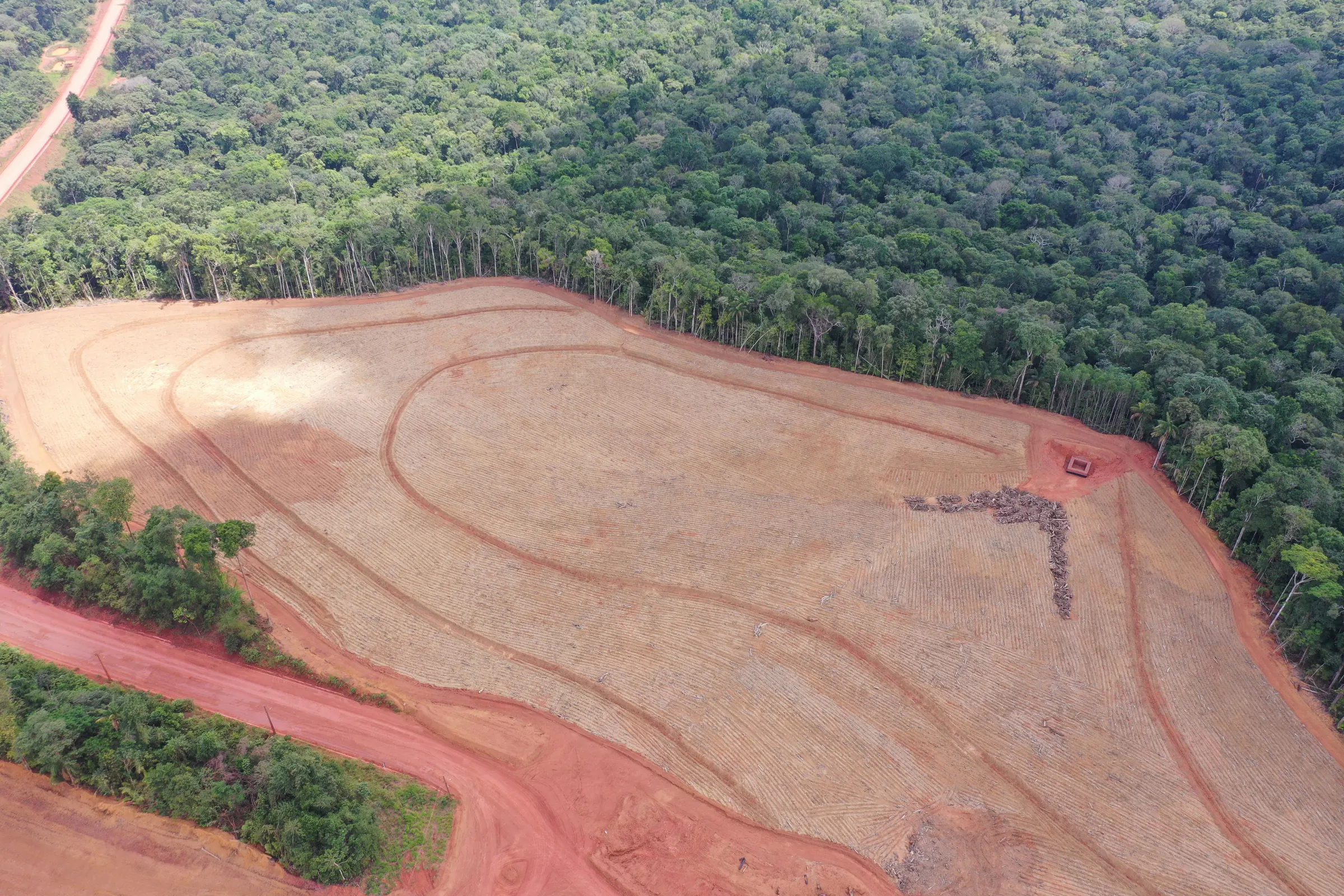 Vista aérea de área de supressão vegetal aberta na floresta, com o solo marcado pela passagem das máquinas